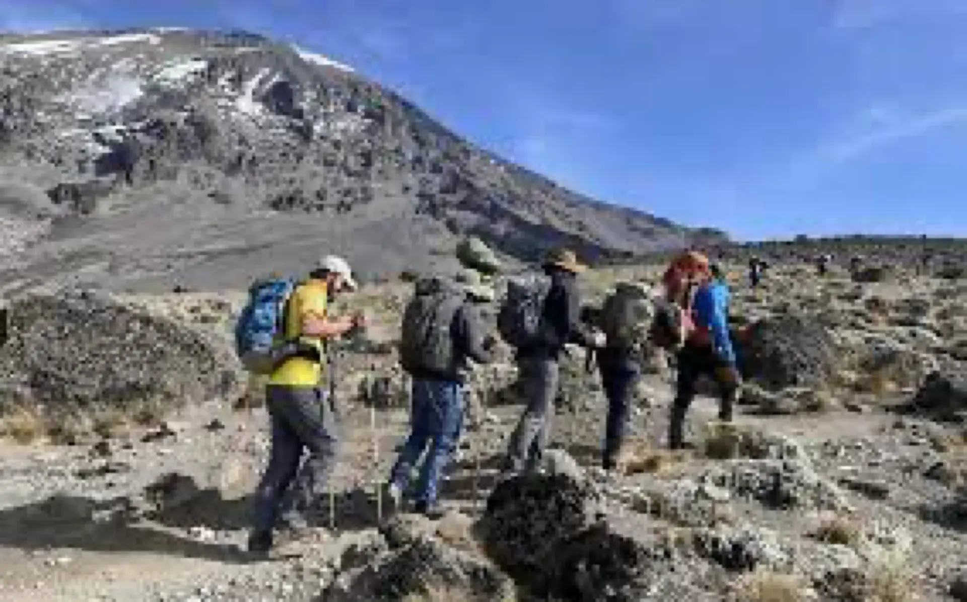 Trekkers hiking through the alpine desert toward Kibo