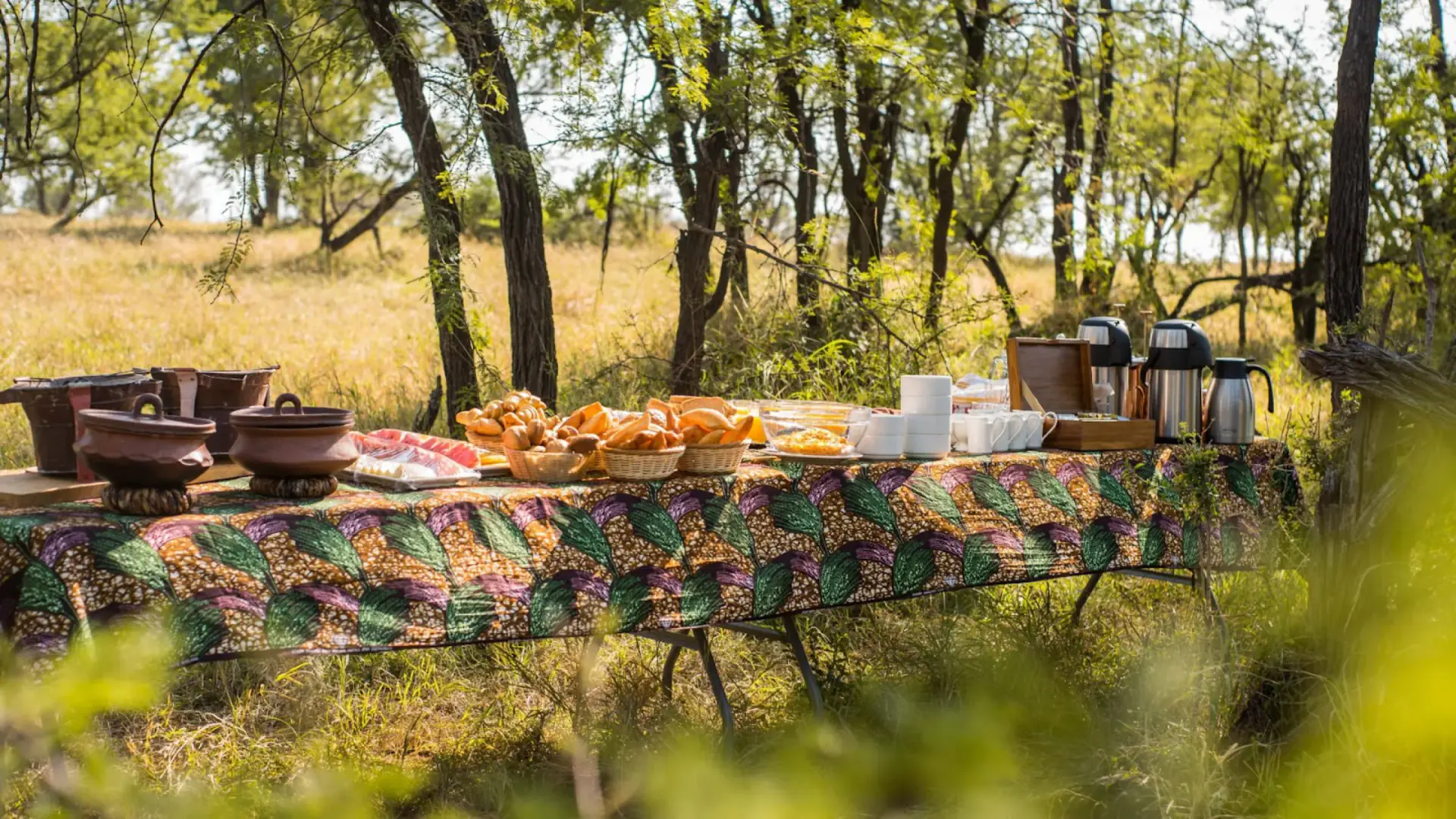 Bush breakfast buffet laid out under acacia trees