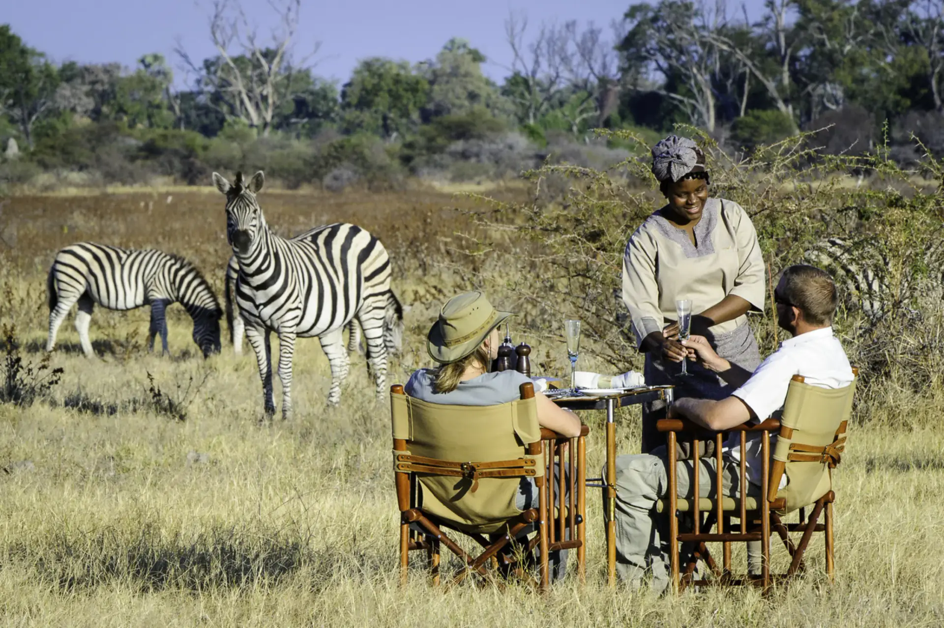 Guests eating lunch at a camp table while zebras graze nearby