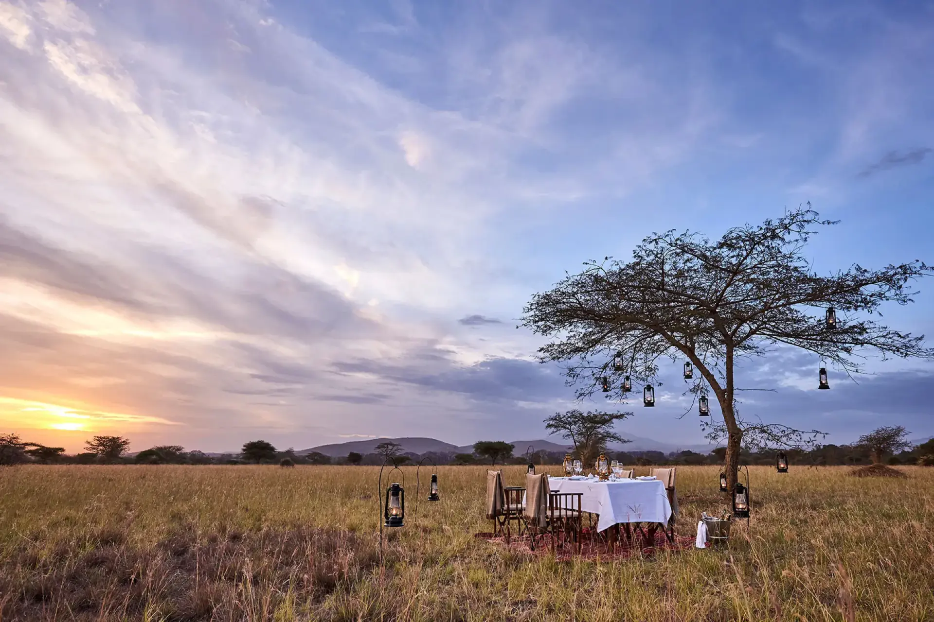 Private dinner set beneath a lantern-lit acacia tree at sunset