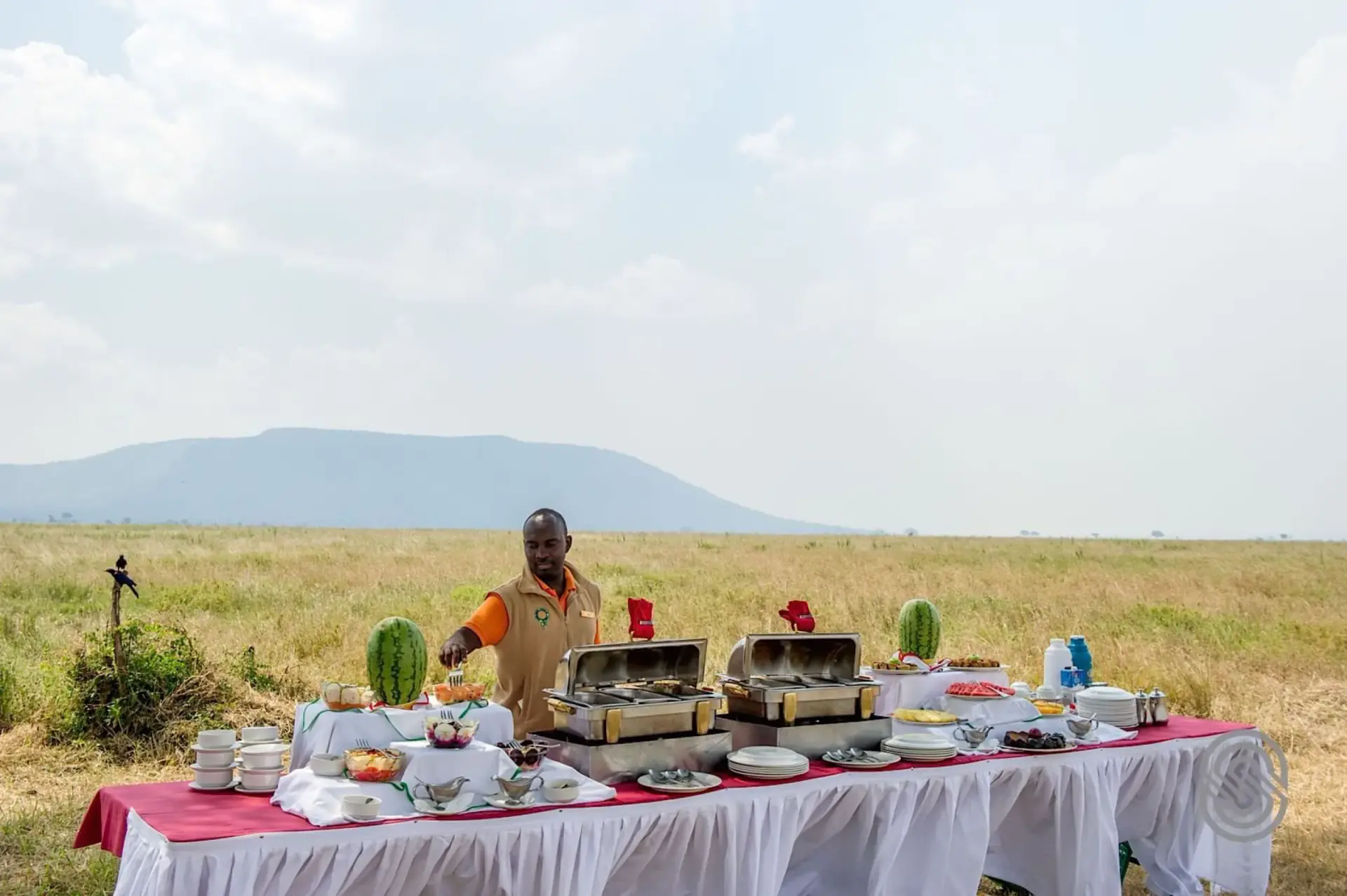 Safari chef serving a bush buffet with mountains in the distance