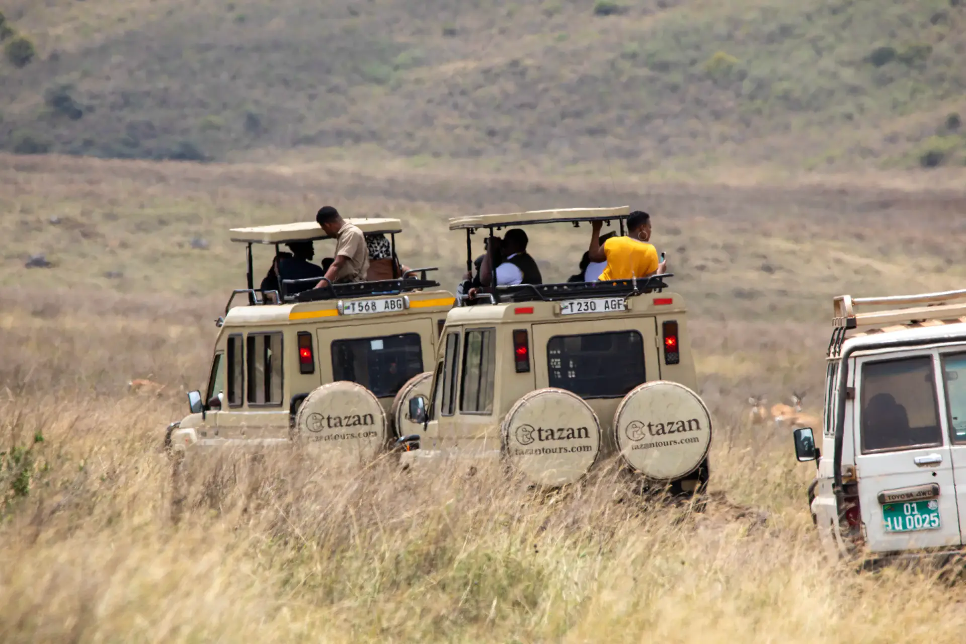 Tazan Tours safari vehicles side by side on a game drive