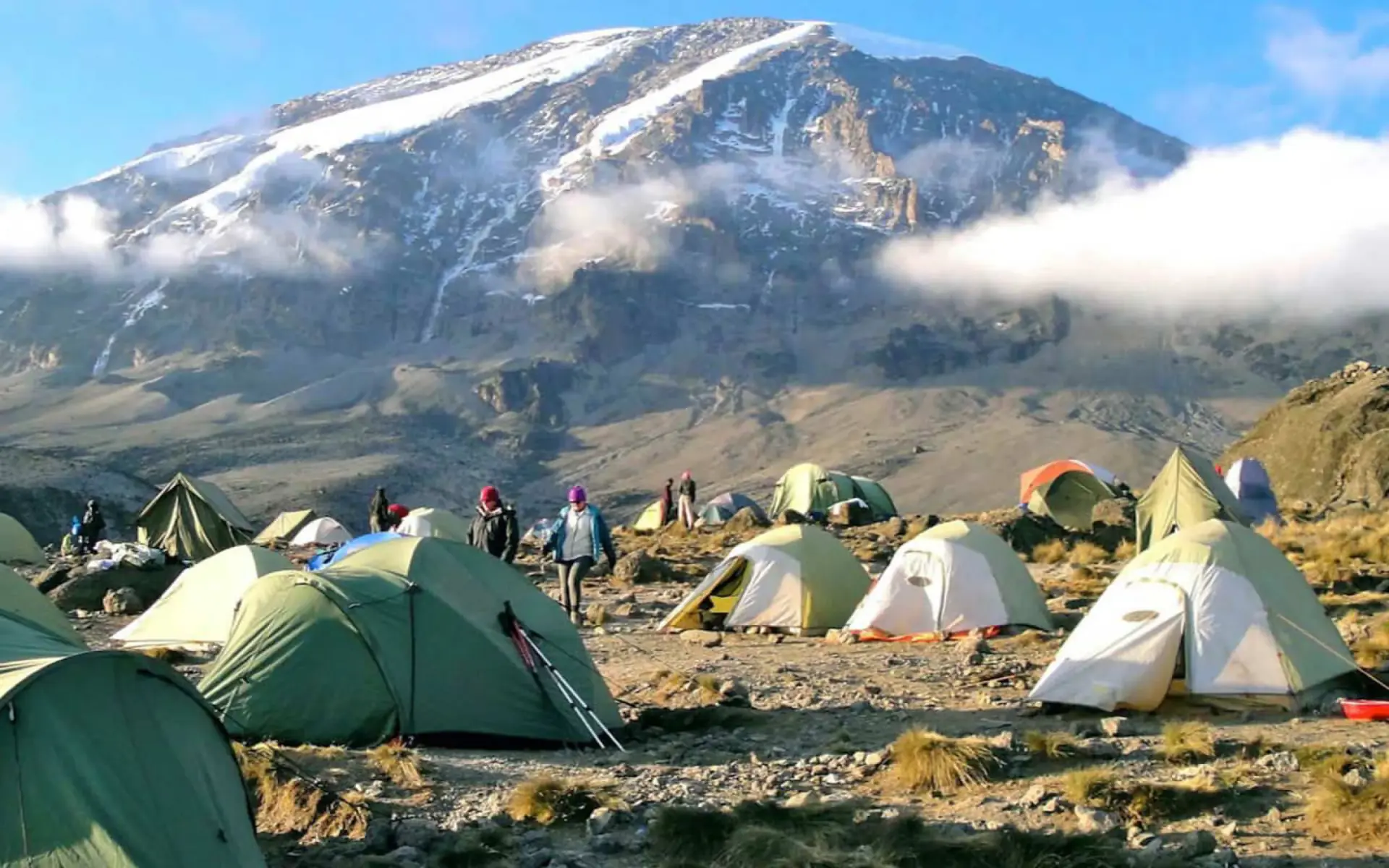 Tents at Shira Camp beneath the snowy peak of Kilimanjaro