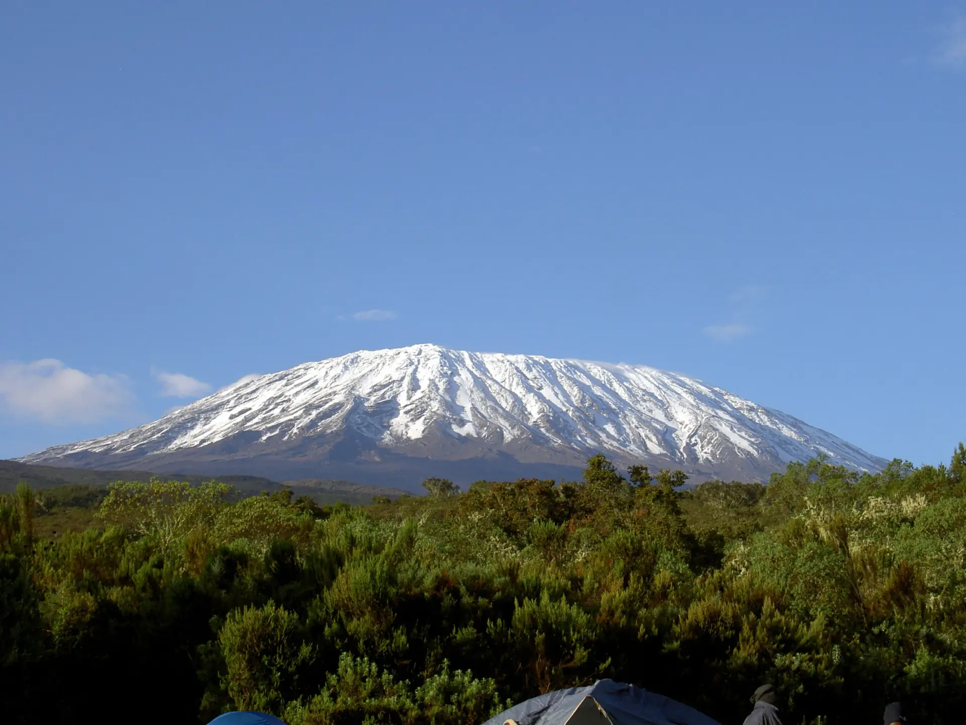Snow-capped Mount Kilimanjaro above the forest