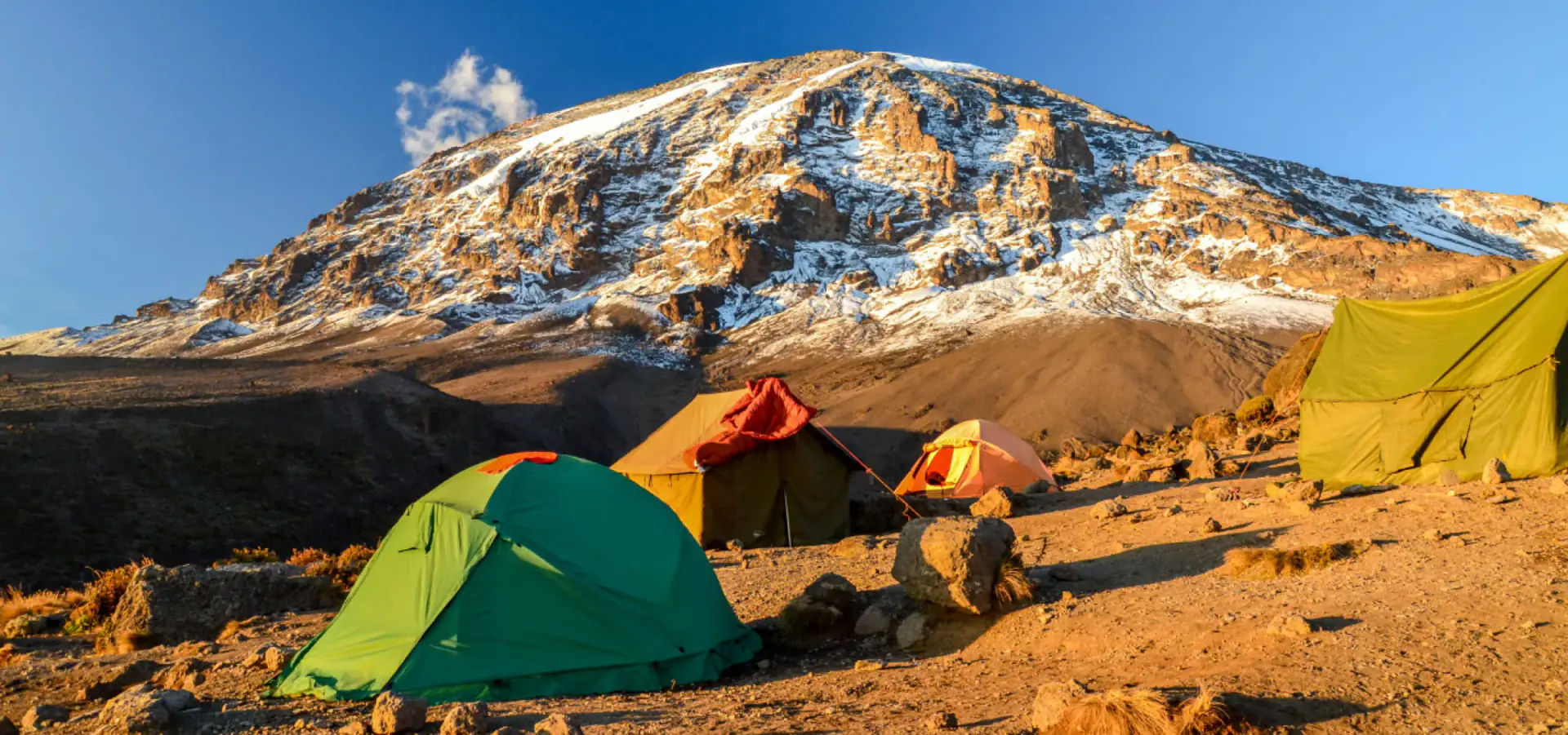 Camping tents below the snowy summit of Kilimanjaro