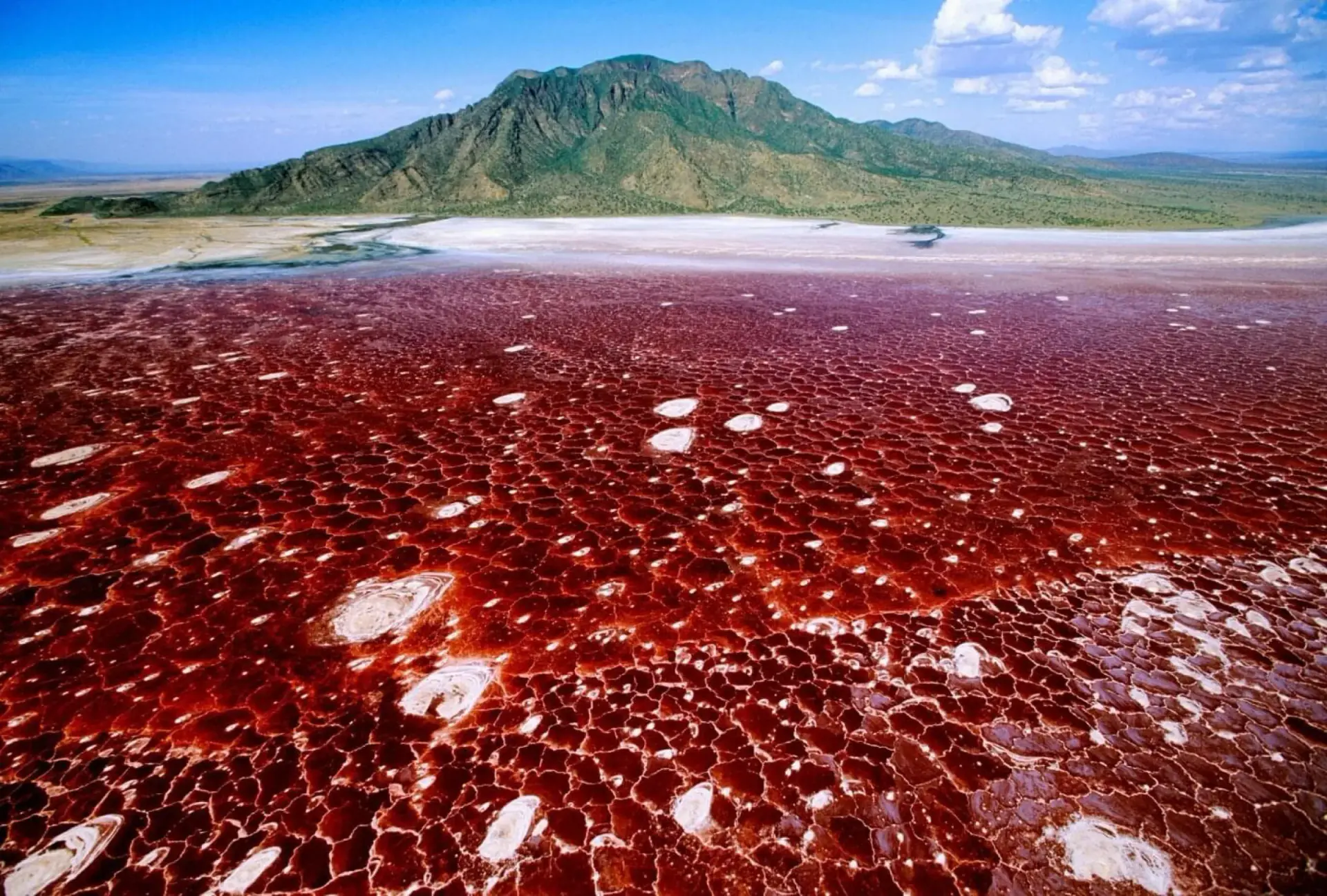 Red salt flats of Lake Natron below Ol Doinyo Lengai