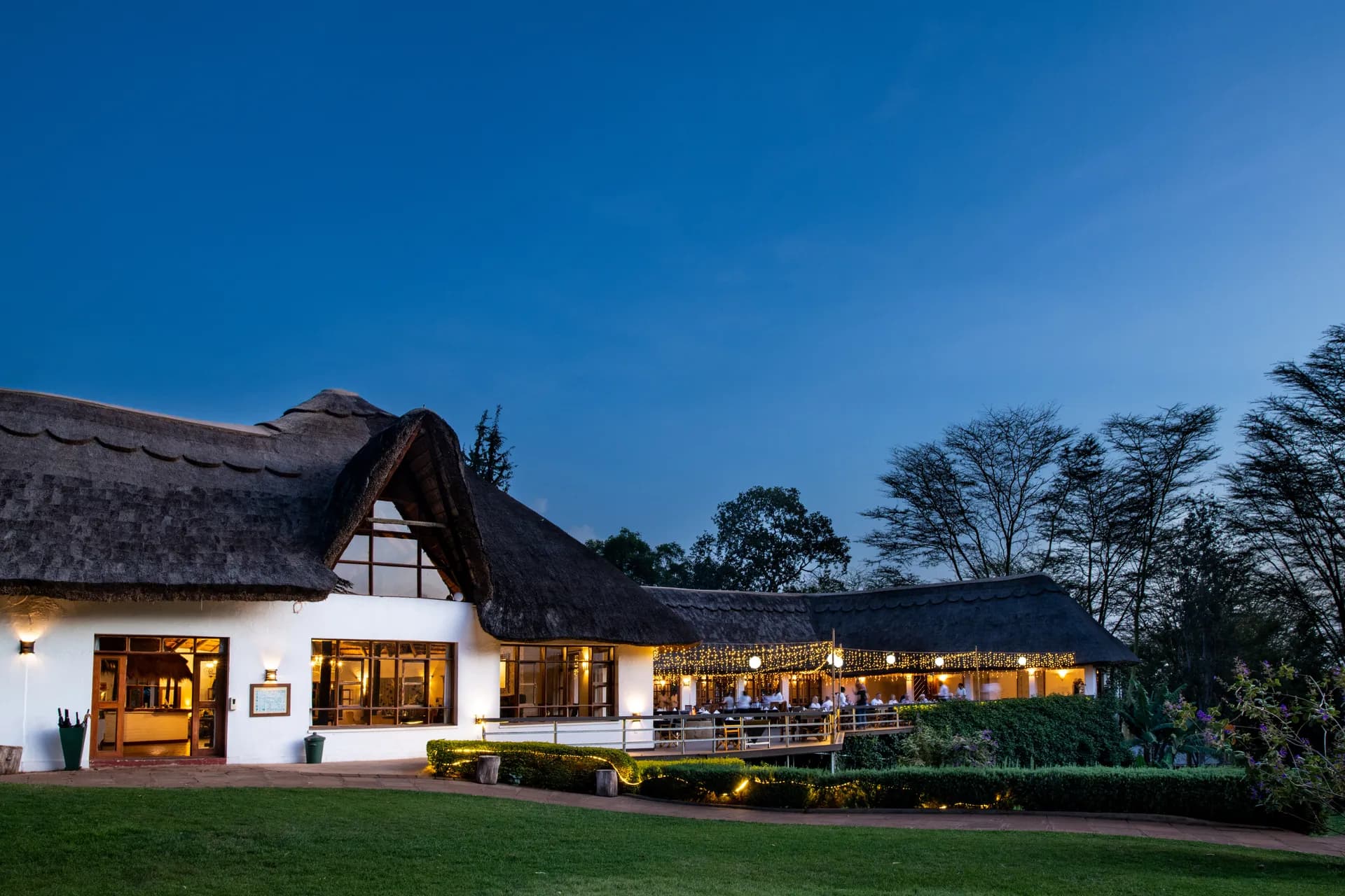 Thatched main house at Ngorongoro Farm House at dusk, with diners on a terrace strung with fairy lights