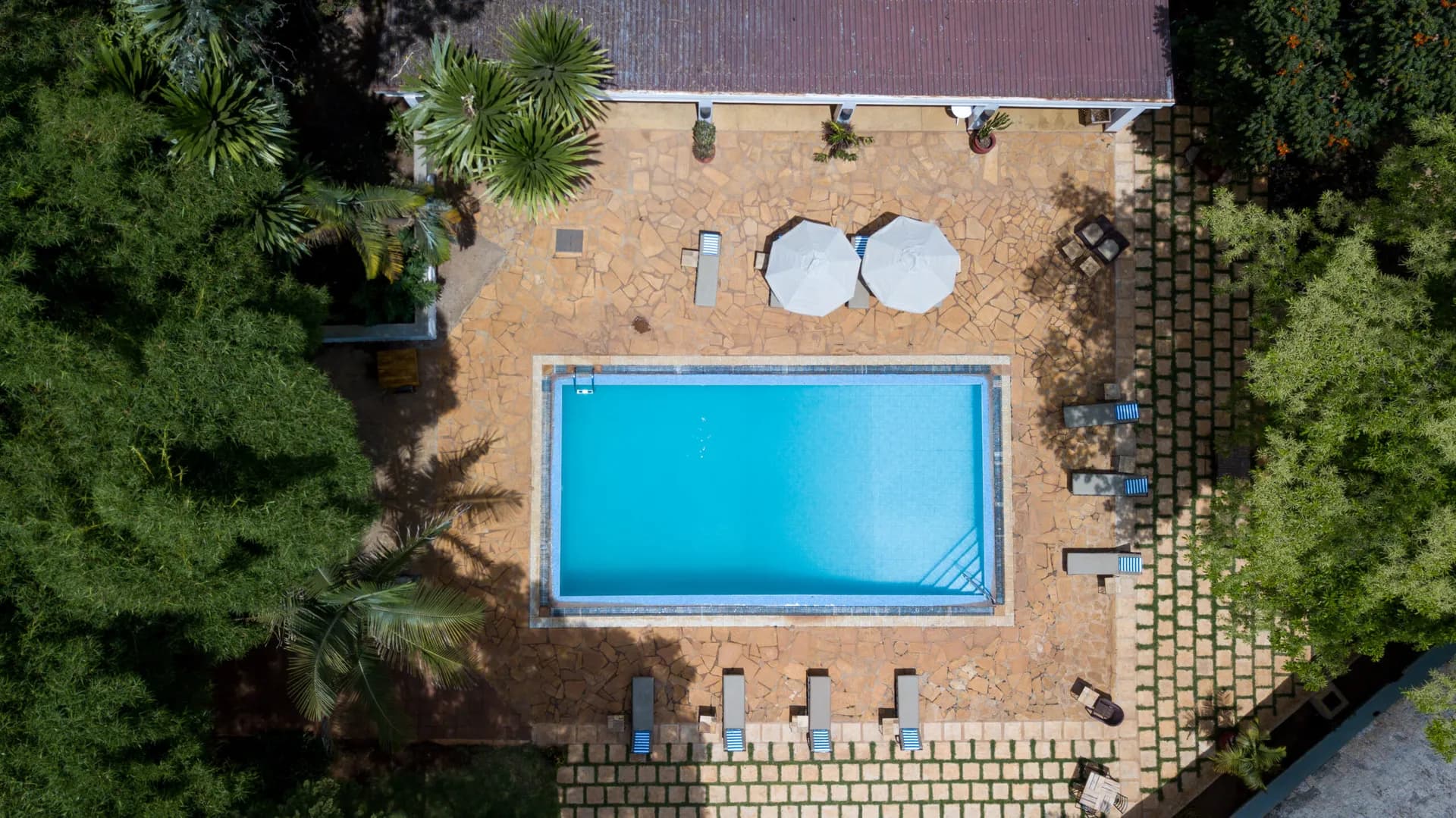 Overhead view of a swimming pool with loungers and umbrellas surrounded by trees