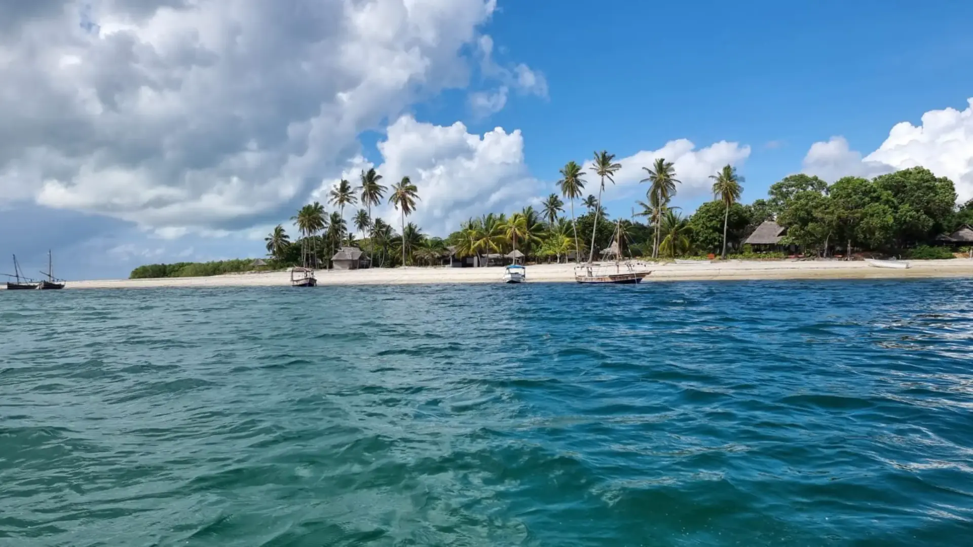 Palm-fringed beach and turquoise water on Mafia Island