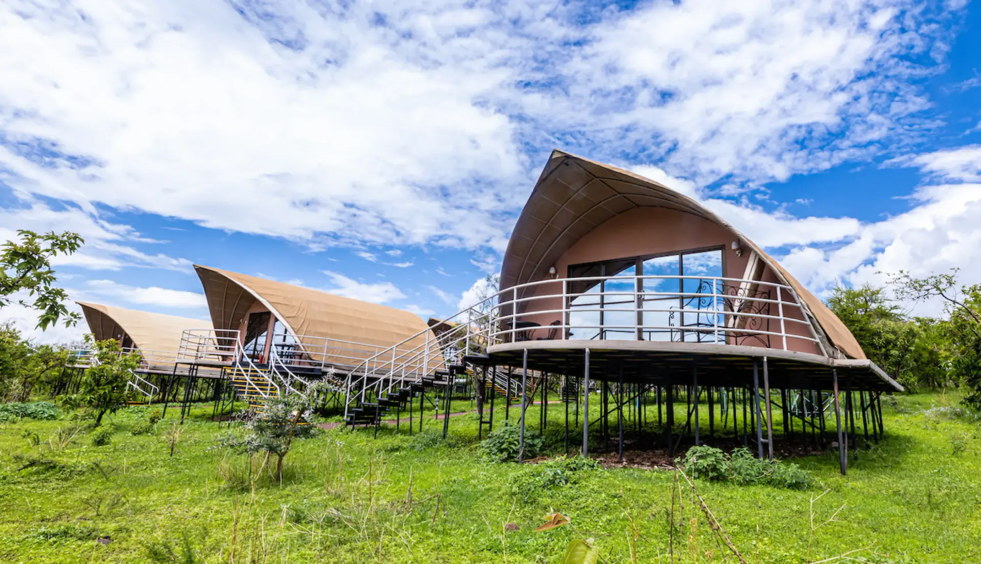 Luxury lodge suites raised on stilts above green grass