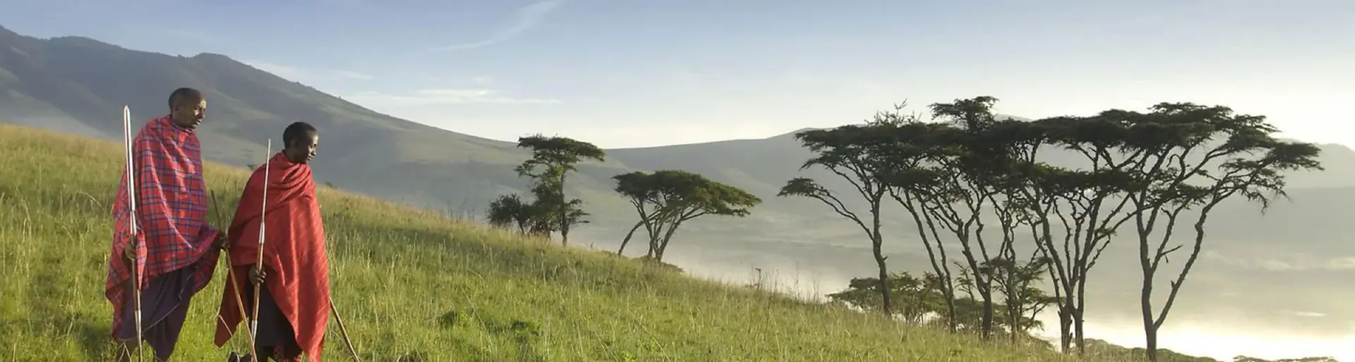 Acacia trees on the misty Ngorongoro highlands