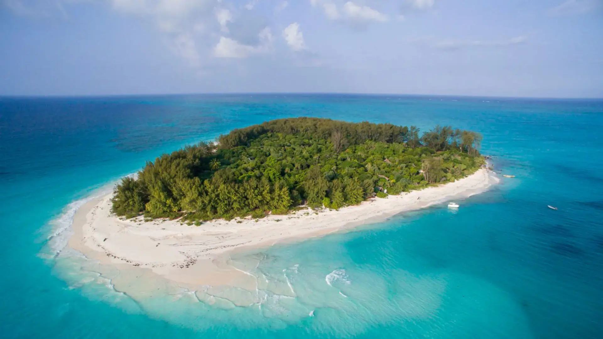 Aerial view of a small forested island ringed by white sand off Zanzibar
